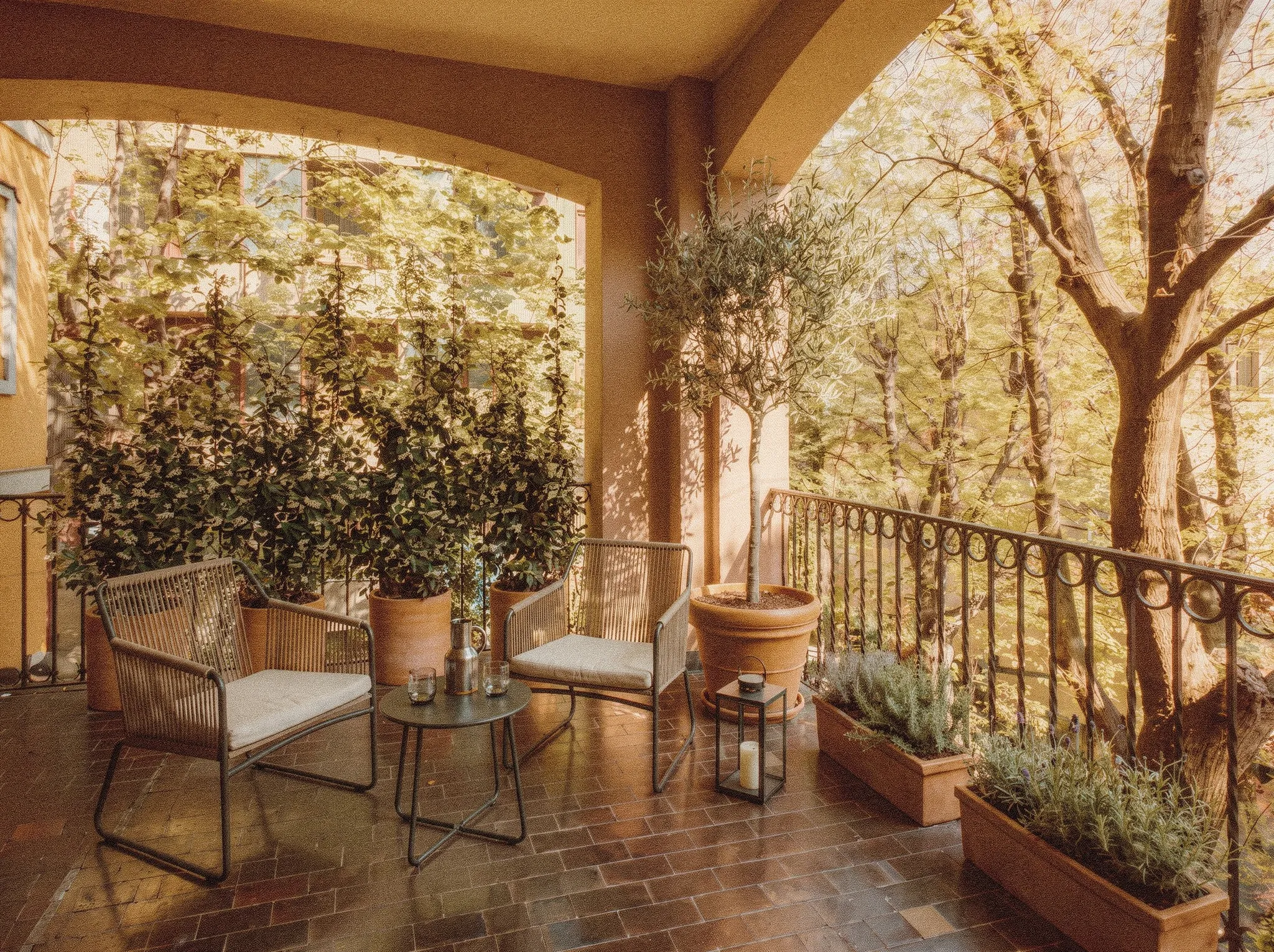 Terrazzo di 25 mq con gelsomino, ulivo, vasi in terracotta e poltrone Harp di Roda